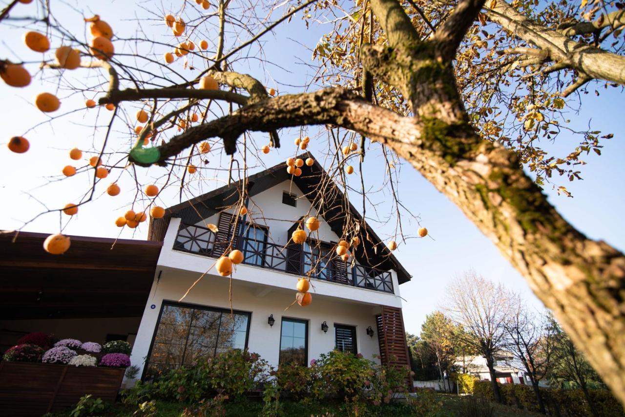 Villa Nora Butik Otel Ve Bungalov Bursa Zewnętrze zdjęcie
